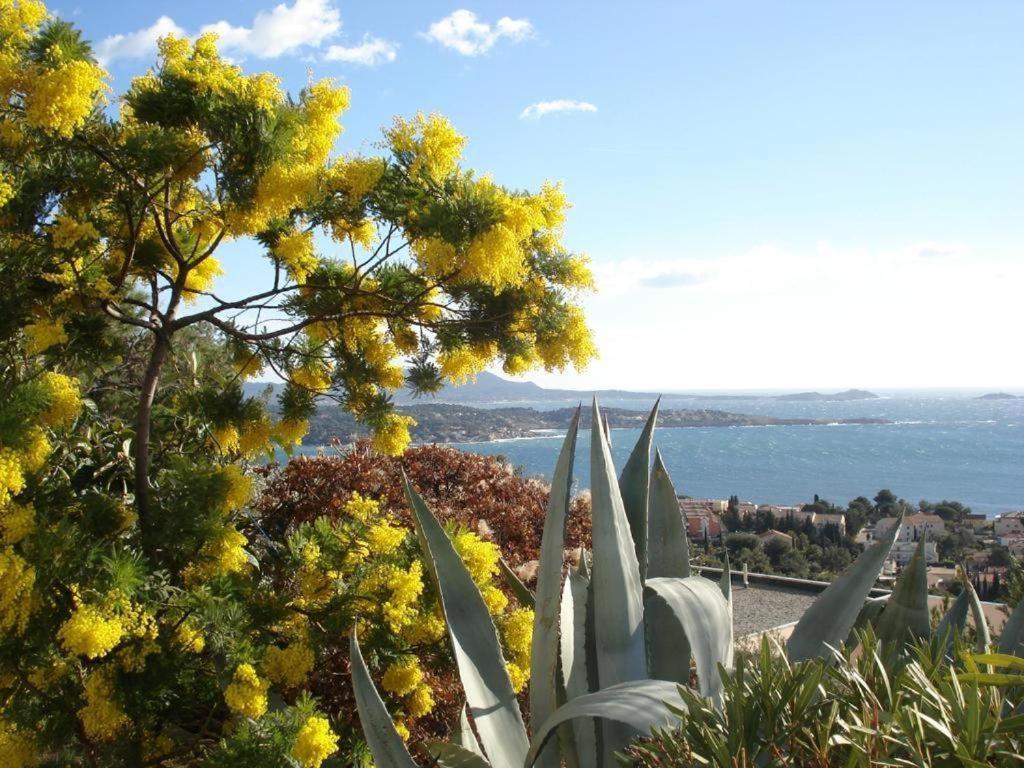 Studio Val Gardénias Bandol Extérieur photo